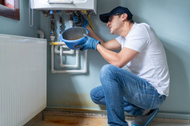 Best Plumbing Inspection Services  in Phoenix, IL