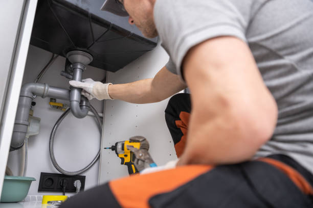 Best Residential Plumbing Services  in Phoenix, IL