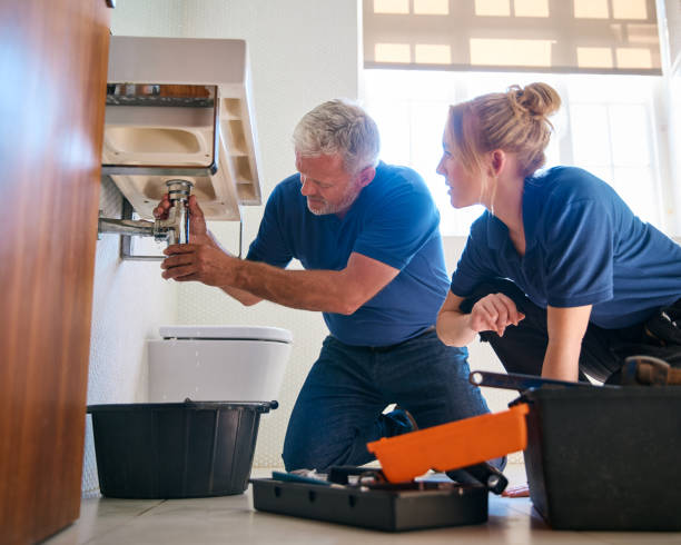 Best Affordable Plumbing Services  in Phoenix, IL